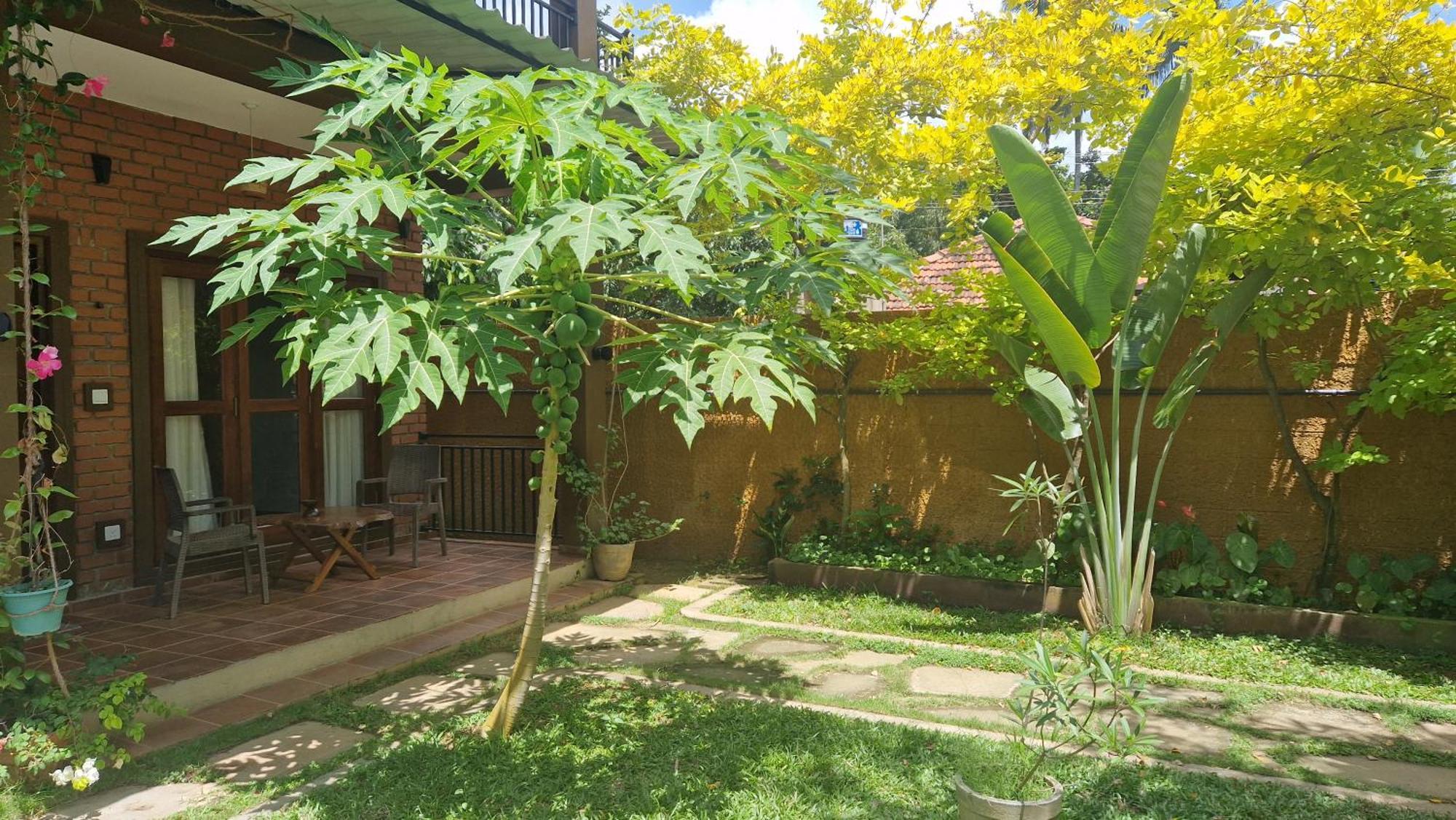 Hotel Millet'S Food Company And Cooking Center à Negombo Extérieur photo